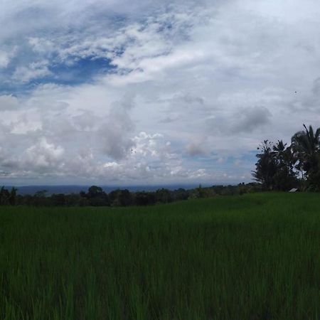 Tegal Jero Homestay Jatiluwih Buitenkant foto