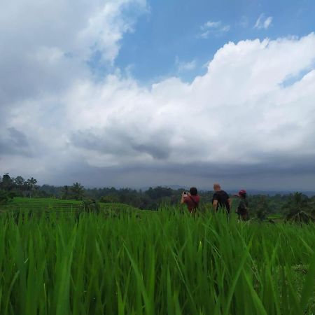 Tegal Jero Homestay Jatiluwih Buitenkant foto