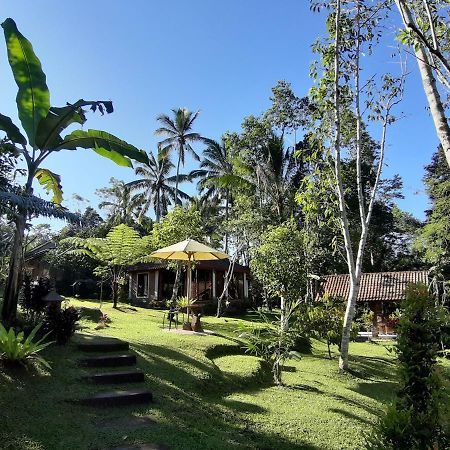 Tegal Jero Homestay Jatiluwih Buitenkant foto