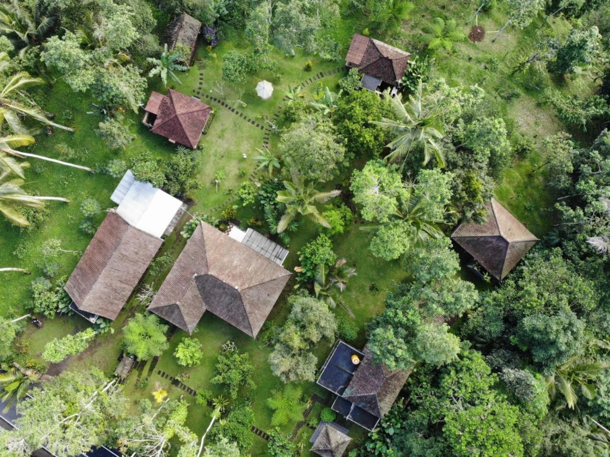 Tegal Jero Homestay Jatiluwih Buitenkant foto