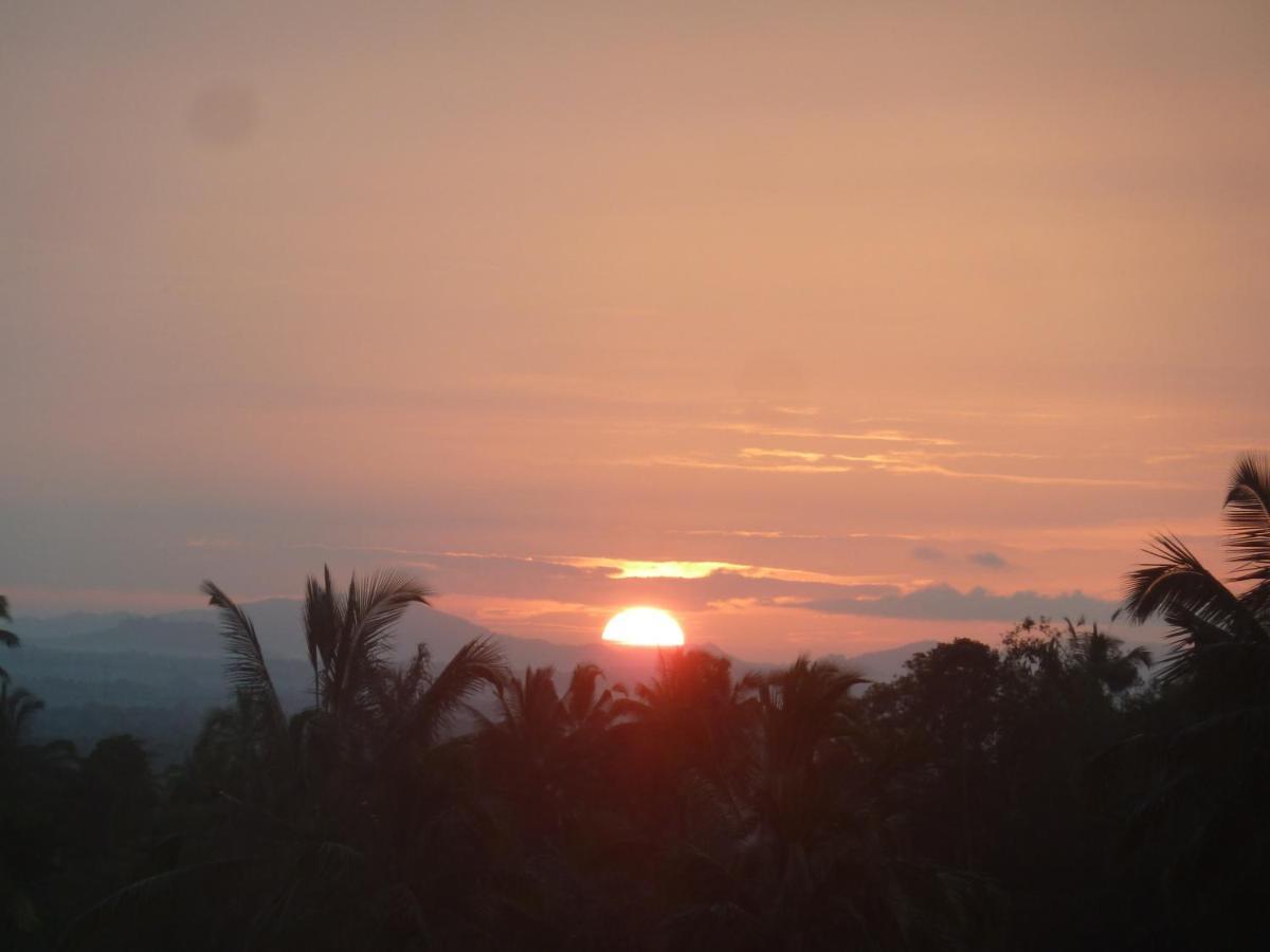 Tegal Jero Homestay Jatiluwih Buitenkant foto