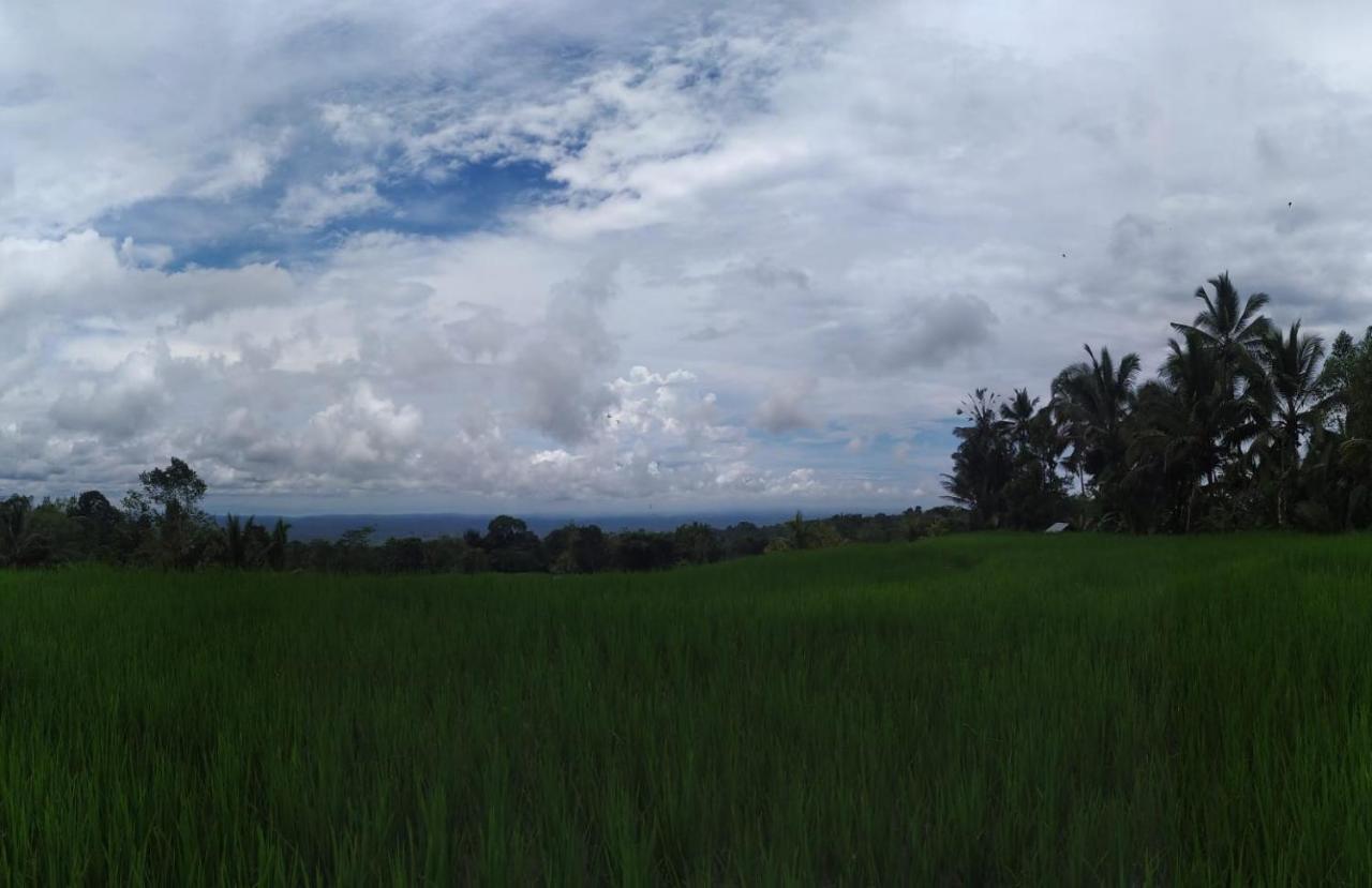 Tegal Jero Homestay Jatiluwih Buitenkant foto