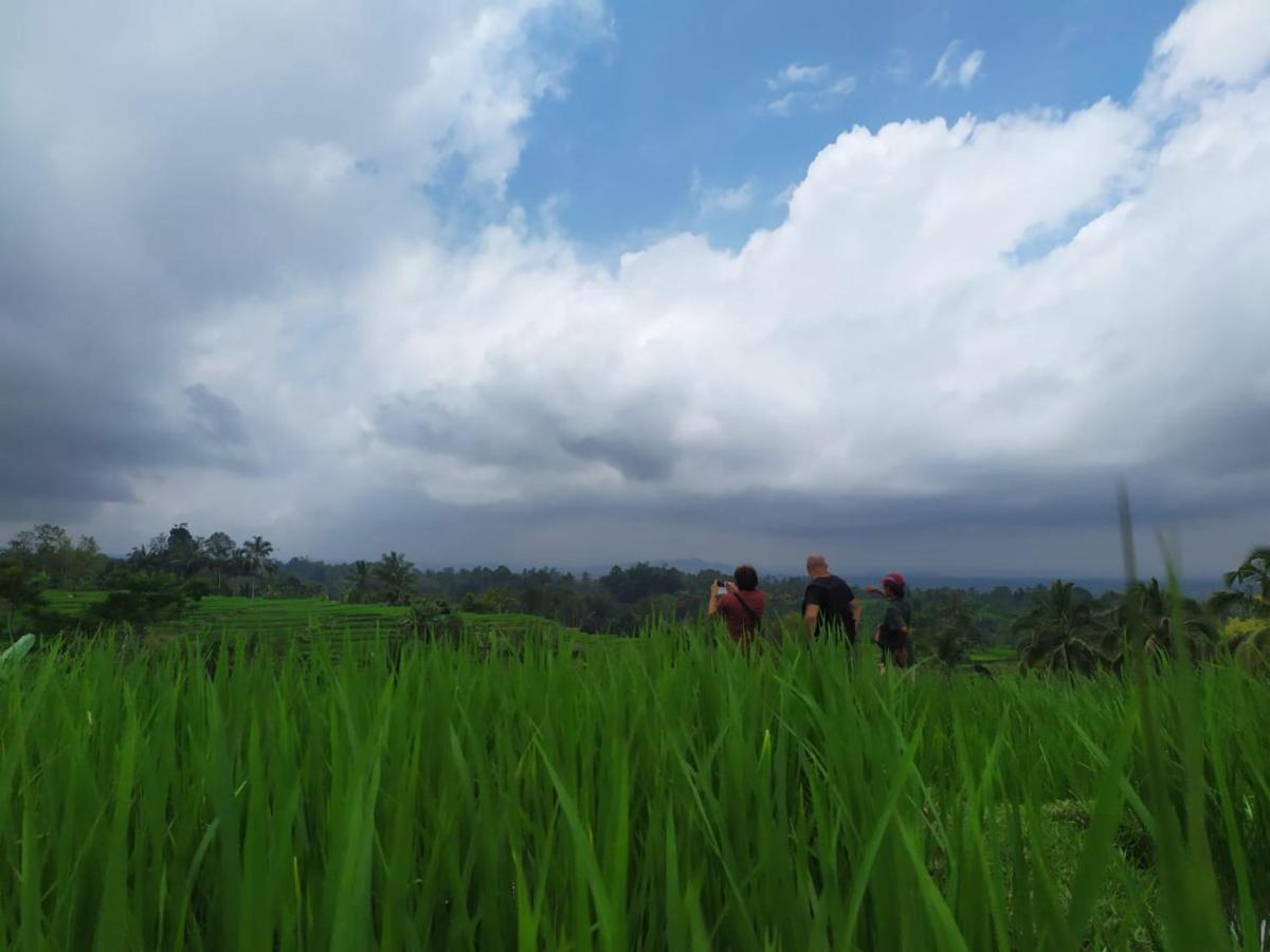 Tegal Jero Homestay Jatiluwih Buitenkant foto