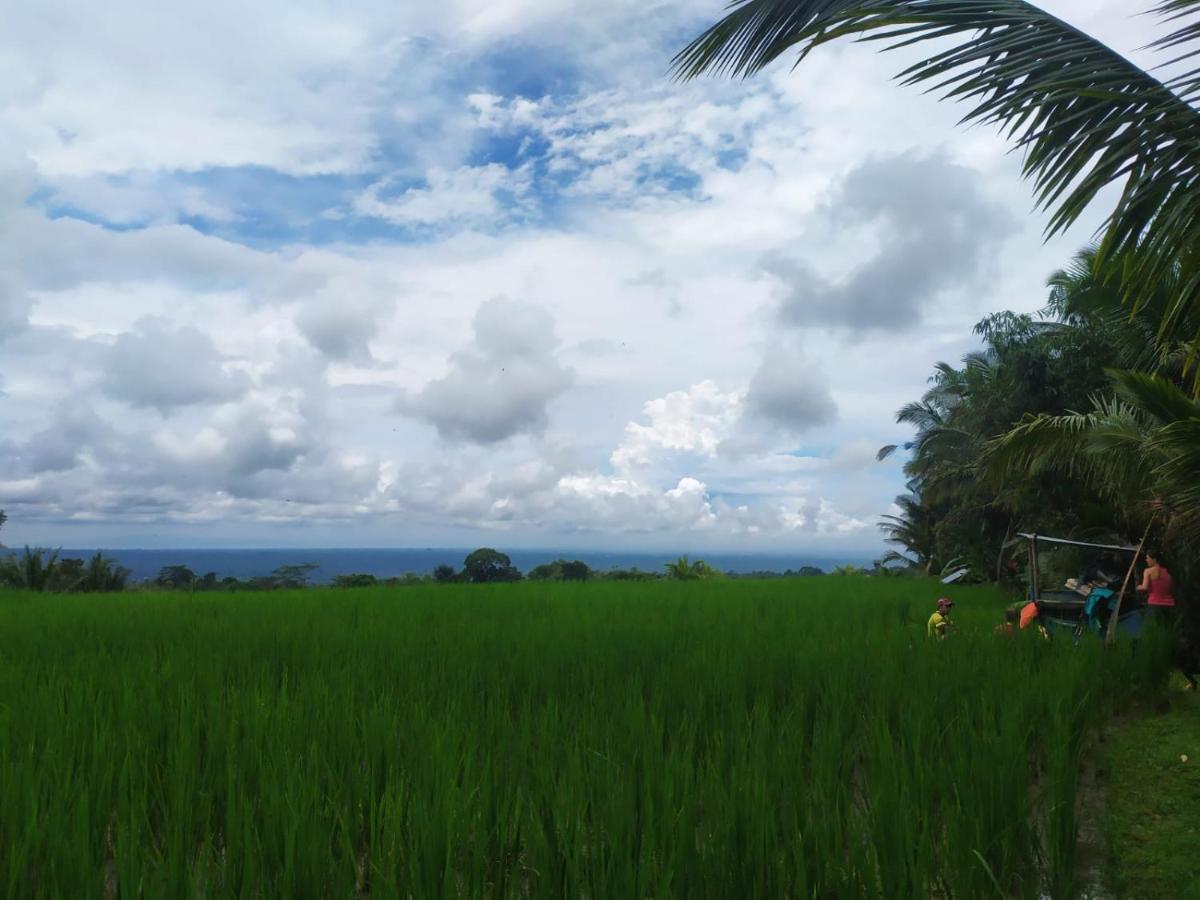 Tegal Jero Homestay Jatiluwih Buitenkant foto