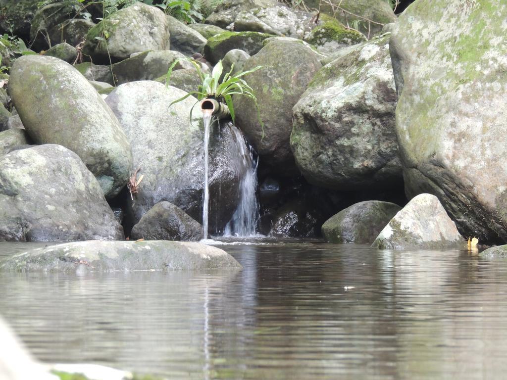 Tegal Jero Homestay Jatiluwih Buitenkant foto