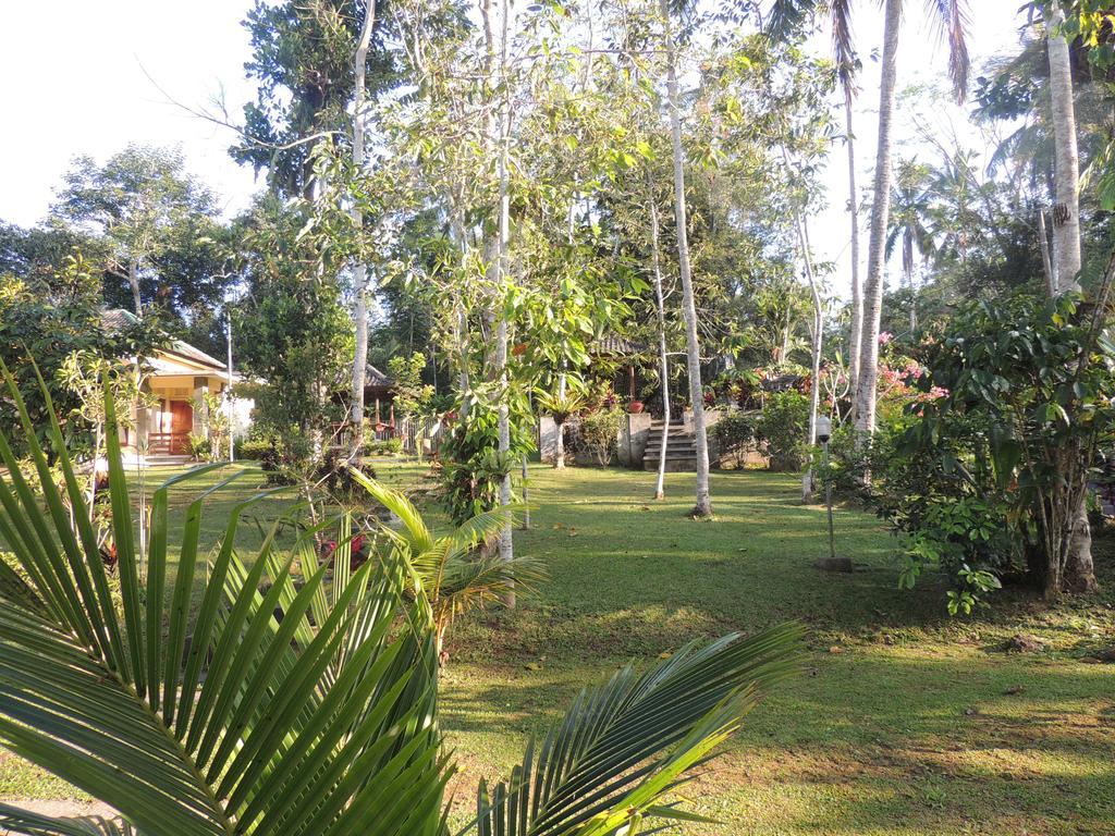 Tegal Jero Homestay Jatiluwih Buitenkant foto
