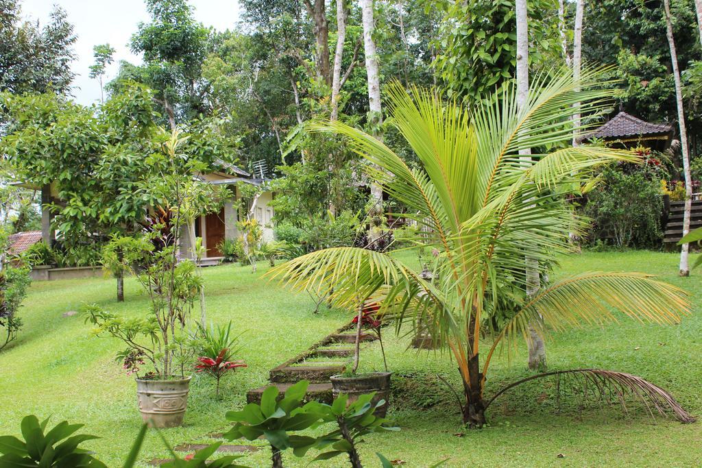 Tegal Jero Homestay Jatiluwih Buitenkant foto