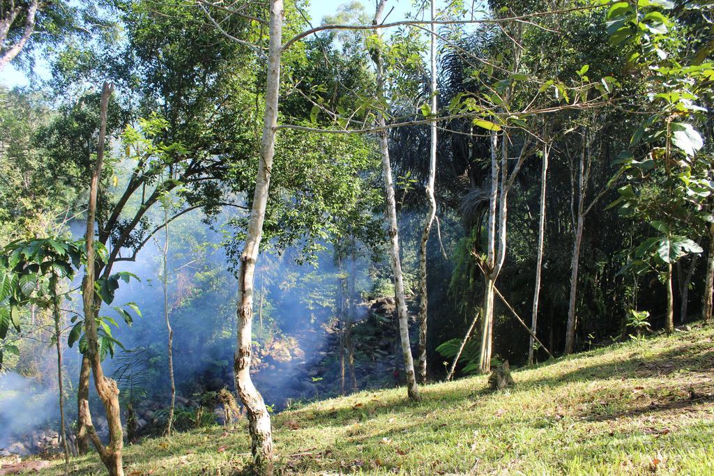 Tegal Jero Homestay Jatiluwih Buitenkant foto