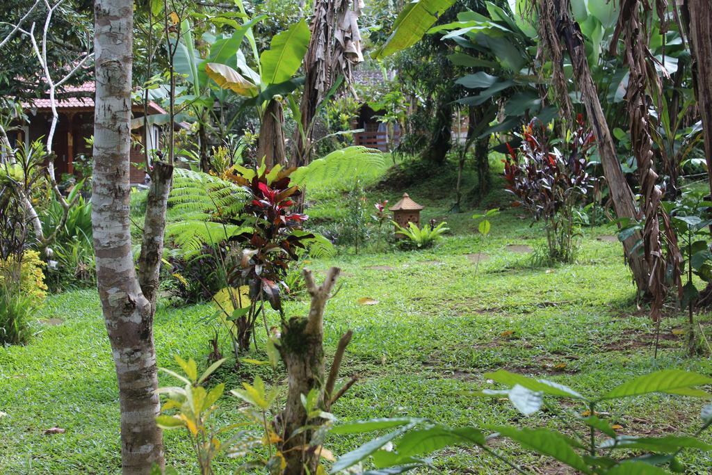 Tegal Jero Homestay Jatiluwih Buitenkant foto