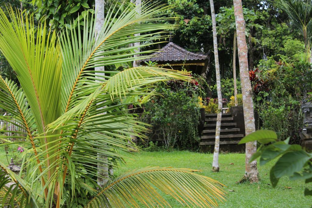 Tegal Jero Homestay Jatiluwih Buitenkant foto