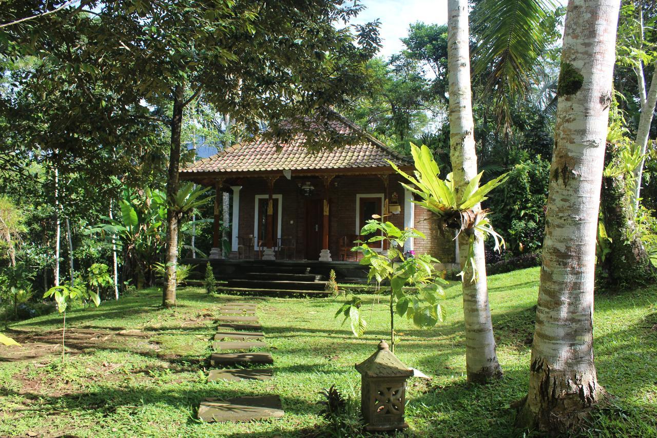 Tegal Jero Homestay Jatiluwih Buitenkant foto