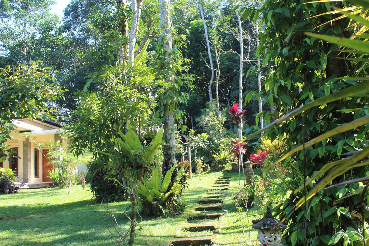 Tegal Jero Homestay Jatiluwih Buitenkant foto