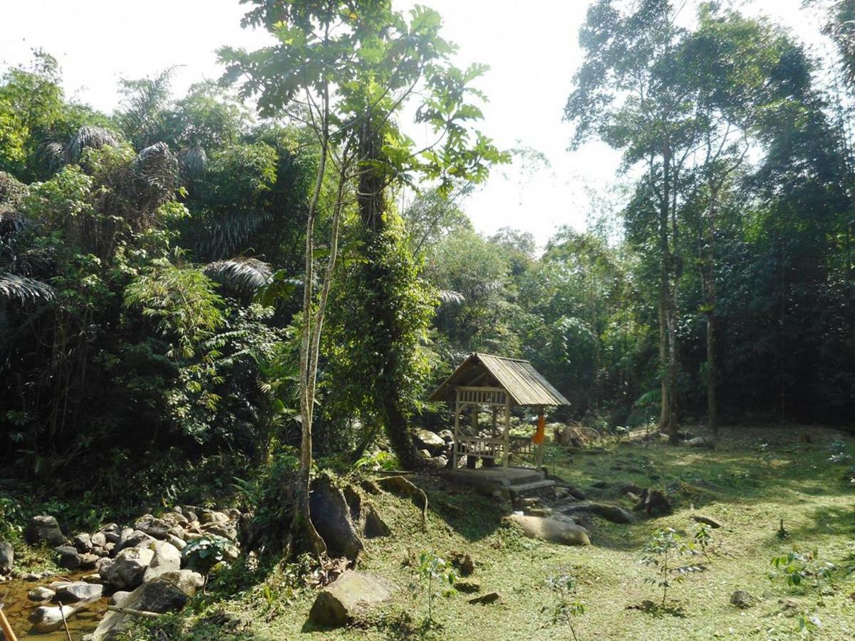 Tegal Jero Homestay Jatiluwih Buitenkant foto
