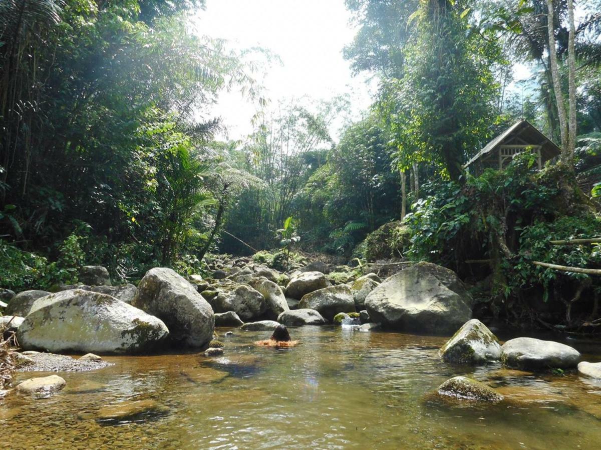 Tegal Jero Homestay Jatiluwih Buitenkant foto