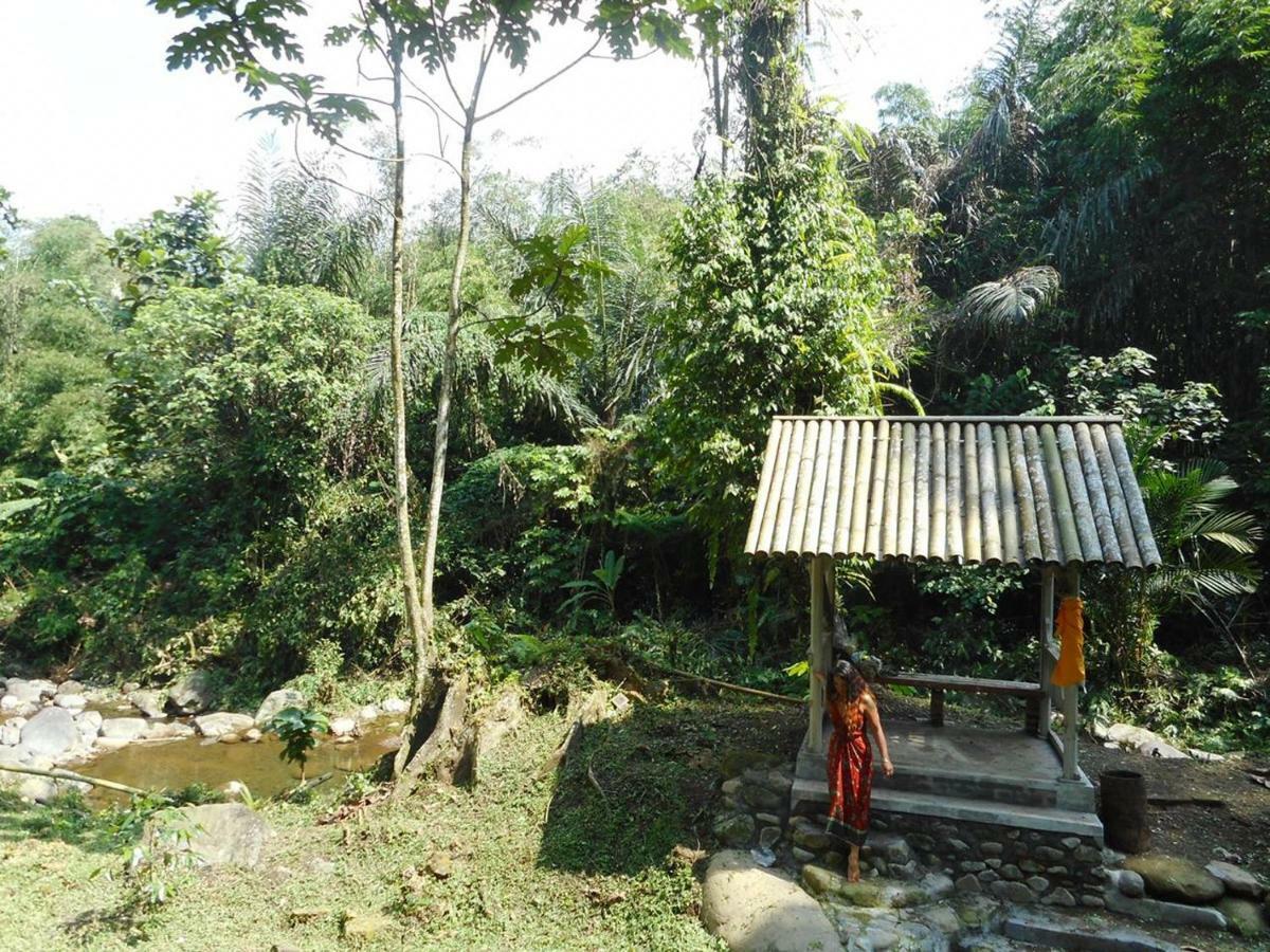 Tegal Jero Homestay Jatiluwih Buitenkant foto