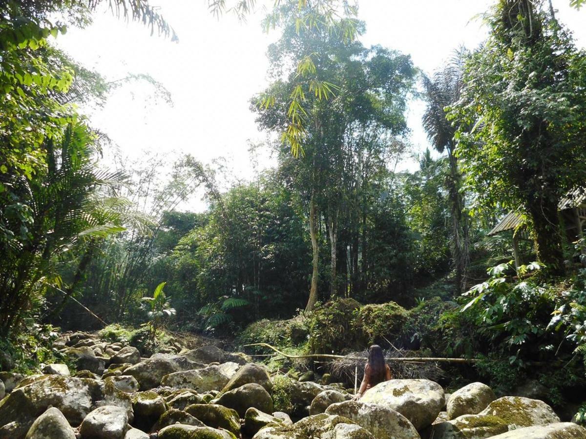 Tegal Jero Homestay Jatiluwih Buitenkant foto