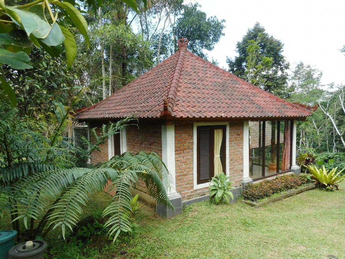 Tegal Jero Homestay Jatiluwih Buitenkant foto