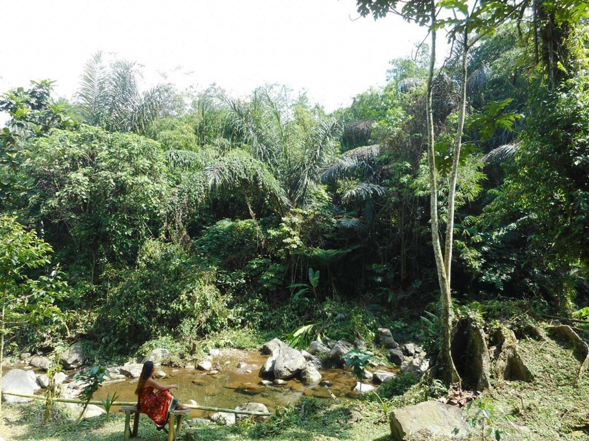 Tegal Jero Homestay Jatiluwih Buitenkant foto