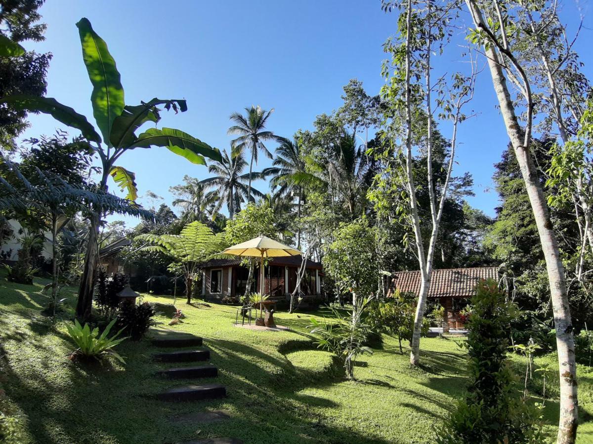 Tegal Jero Homestay Jatiluwih Buitenkant foto