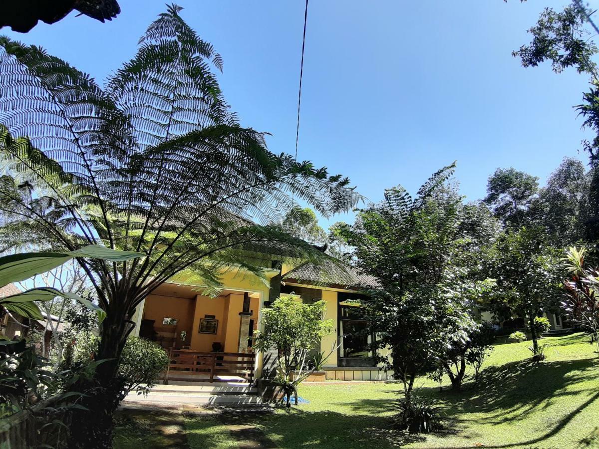 Tegal Jero Homestay Jatiluwih Buitenkant foto