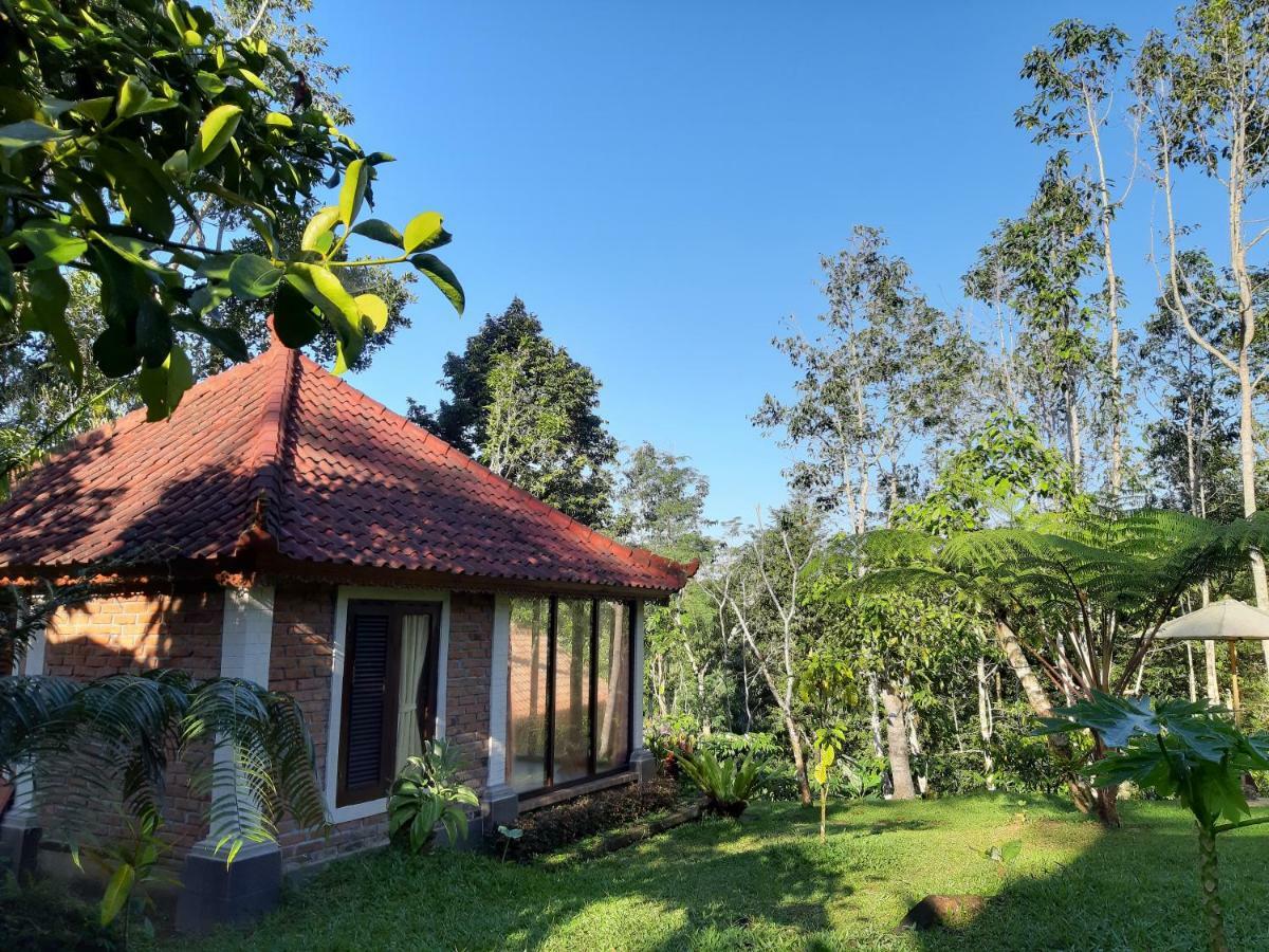 Tegal Jero Homestay Jatiluwih Buitenkant foto