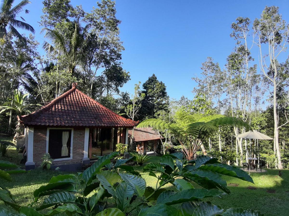 Tegal Jero Homestay Jatiluwih Buitenkant foto