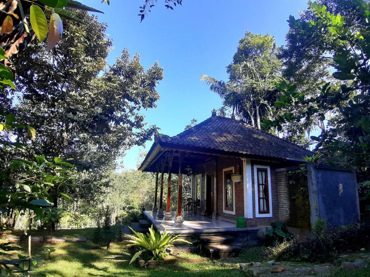 Tegal Jero Homestay Jatiluwih Buitenkant foto