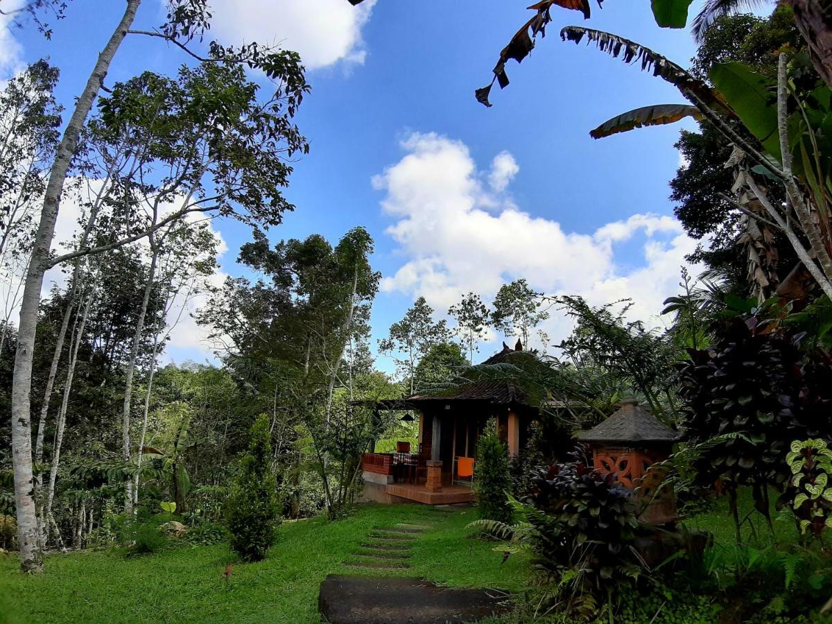 Tegal Jero Homestay Jatiluwih Buitenkant foto