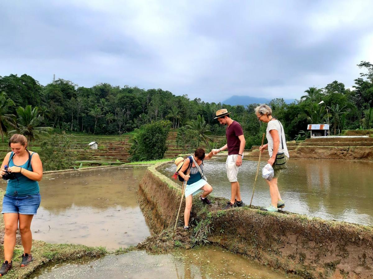 Tegal Jero Homestay Jatiluwih Buitenkant foto