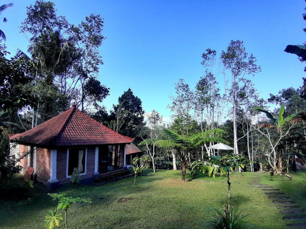 Tegal Jero Homestay Jatiluwih Buitenkant foto