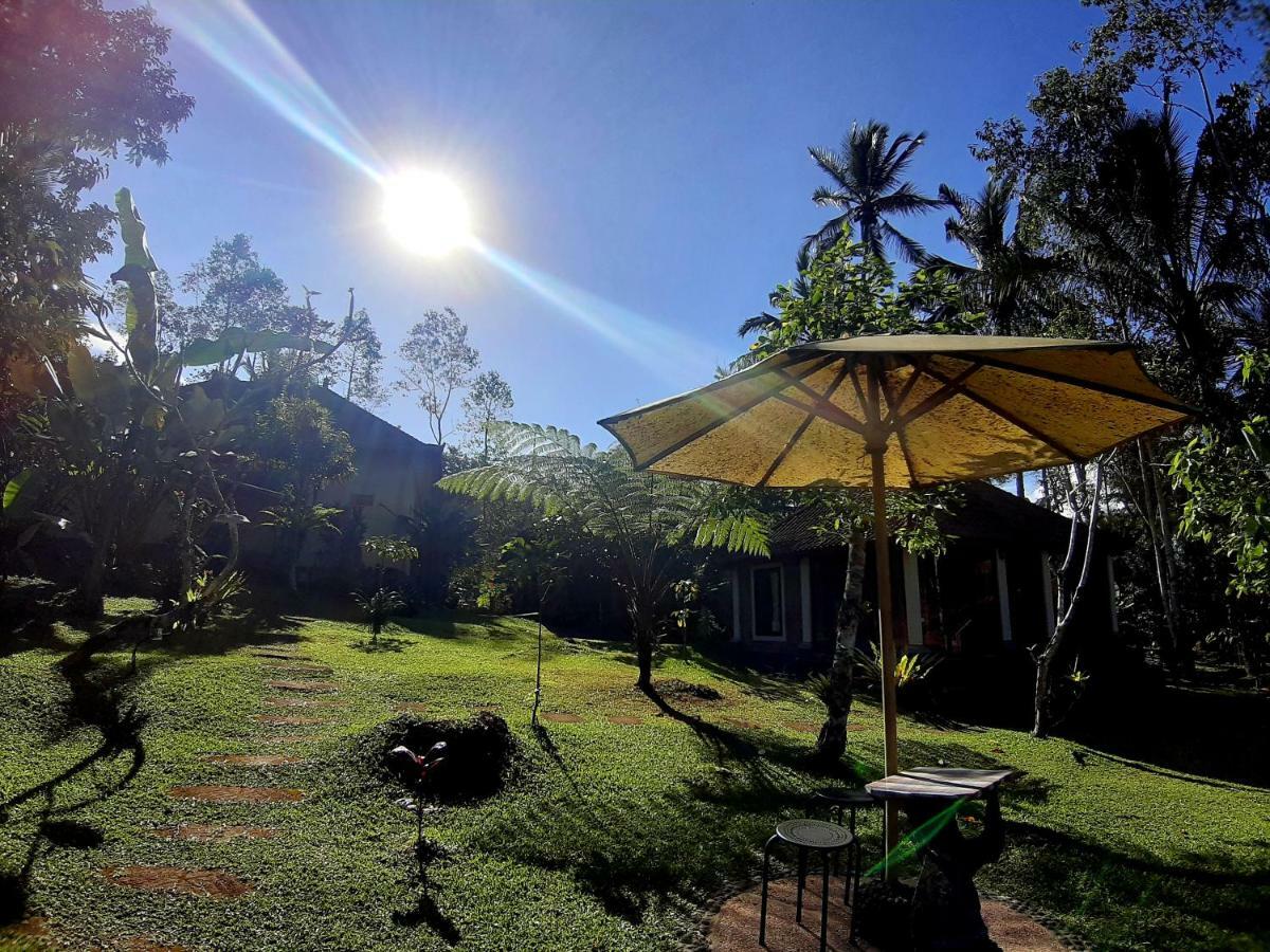 Tegal Jero Homestay Jatiluwih Buitenkant foto